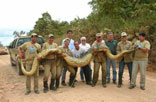 Anacondas Venezuela